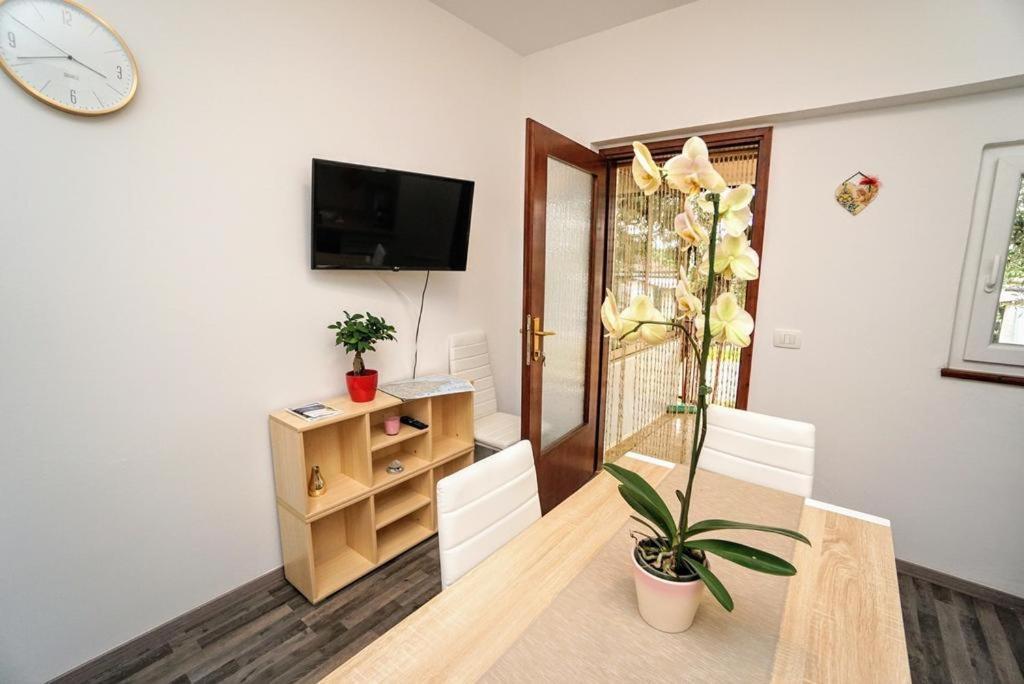 Apartman Dea Црвений Врх Екстер'єр фото