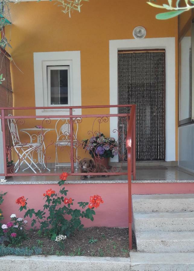 Apartman Dea Црвений Врх Екстер'єр фото