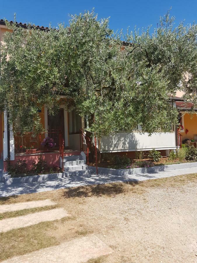 Apartman Dea Црвений Врх Екстер'єр фото